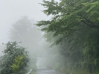 学習塾RainBow　塾長散歩　濃霧の中も歩きます！