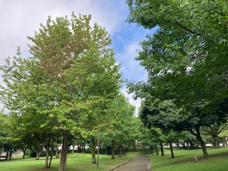 別府市　学習塾RainBow　3000kmチャレンジ！　塾長ウォーキング！　474日目結果！　南立石公園　カブトムシGET！