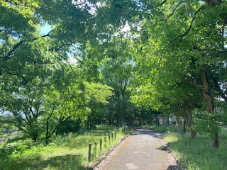 別府市　学習塾RainBow　塾長チャレンジ4000km！　778日目結果！　南立石公園