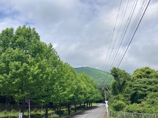 別府市　学習塾RainBow　塾長チャレンジ4000km！　781日目結果！　自宅周辺の昆虫たち