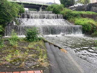 別府市　学習塾RainBow　塾長ウォーキング目標5000km！　796日目結果！　雨天の境川