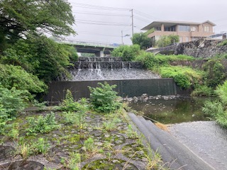 別府市　学習塾RainBow　塾長ウォーキング目標5000km！　801日目結果！　雨天の境川