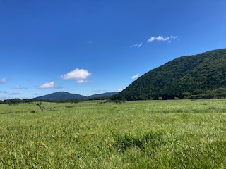 別府市　学習塾RainBow　塾長ウォーキング目標5000km！　834日目結果！　7.30  飯田高原　タデ原湿原　くじゅう花公園　【別府　塾　学習塾　個別指導　高校受験　大学受験】