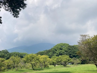 別府市　学習塾RainBow　塾長ウォーキング目標5000km！　841日目結果！　南立石公園　【別府　塾　学習塾　個別指導　高校受験　大学受験】