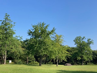 別府市　学習塾RainBow　塾長ウォーキング目標5000km！　867日目結果！　南立石公園　【別府　塾　学習塾　個別指導　高校受験　大学受験　中学数学　中学理科　高校数学　高校化学】