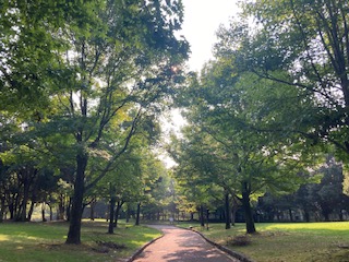 別府市　学習塾RainBow　塾長ウォーキング目標5000km！　871日目結果！　南立石公園　【別府　塾　学習塾　個別指導　高校受験　大学受験　医学部対策　中学数学　中学理科　高校数学　高校化学】