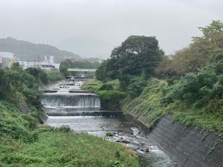 別府市　学習塾RainBow　塾長ウォーキング目標5000km！　917日目結果！　雨の春木川　【別府　塾　個別指導　高校受験　大学受験　自習室完備】