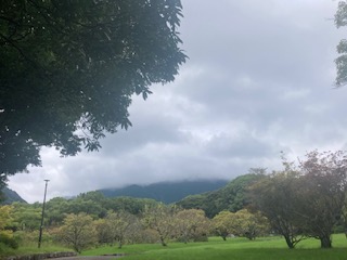 別府市　学習塾RainBow　塾長ウォーキング目標5000km！　900日目結果！　南立石公園　【別府　塾　学習塾　個別指導　高校受験　大学受験　中学数学　中学理科　高校数学　高校化学】