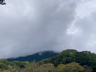 別府市　学習塾RainBow　塾長ウォーキング目標5000km！　903日目結果！　南立石公園　【別府　塾　学習塾　個別指導　高校受験　大学受験　中学数学　中学理科　高校数学　高校化学　自習室完備】