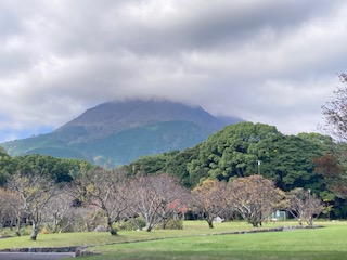 別府市　学習塾RainBow　塾長ウォーキング目標5000km！　934日目結果！　南立石公園　【別府　塾　個別指導　高校受験　大学受験　自習室完備】