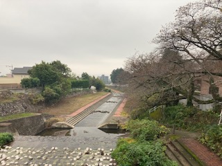 別府市　学習塾RainBow　塾長散歩　目指せ！7000km！　942日目結果！　塾周辺　【別府　塾　個別指導　高校受験　大学受験　自習室完備】