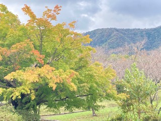 別府市　学習塾RainBow　塾長散歩！　目指せ！7000km！　944日目結果！　南立石公園　【別府　塾　個別指導　高校受験　大学受験　自習室完備】