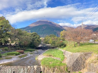 別府市　学習塾RainBow　塾長散歩　目指せ！7000km！　951日目結果！　境川の紅葉　【別府　塾　個別指導　高校受験　大学受験　自習室完備】