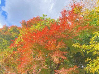 別府市　学習塾RainBow　塾長散歩　目指せ！7000km！　953日目結果！　自宅周辺　【別府　塾　個別指導　高校受験　大学受験　自習室完備】