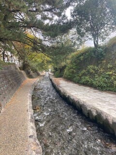 別府市　学習塾RainBow　塾長散歩　目指せ！7000km！　967日目結果！　塾周辺　【別府　塾　個別指導　高校入試　大学入試　冬期講座生徒募集中】