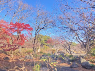 別府市　学習塾RainBow　塾長散歩　目指せ！7000km！　981日目結果！　南立石公園　【別府　塾　個別指導　高校入試　大学入試】