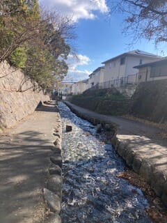 別府市　学習塾RainBow　塾長散歩　目指せ！7000km！　991日目結果！　塾周辺　【別府　塾　個別指導　高校入試　大学入試】