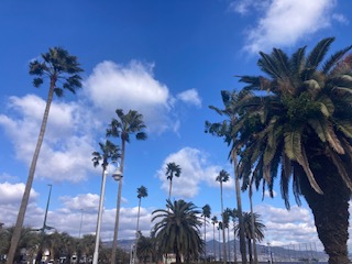 別府市　学習塾RainBow　塾長散歩　目指せ！7000km！　997日目結果！　上人ヶ浜公園　【別府　塾　個別指導　高校入試　大学入試】