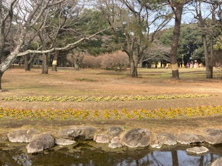 別府市　学習塾RainBow　塾長散歩　目指せ！7000km！　1010日目結果！　別府公園　【別府　塾　個別指導　高校入試　大学入試　自習室完備】