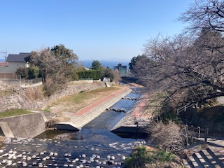 別府市　学習塾RainBow　塾長散歩　目指せ！7000km！　1031日目結果！　塾周辺　【別府　塾　個別指導　高校入試　大学入試】