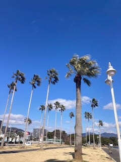 別府市　学習塾RainBow　塾長散歩　目指せ！7000km！　1036日目結果！　上人ヶ浜公園　【別府　塾　個別指導　高校入試　大学入試】