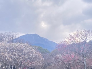 別府市　学習塾RainBow　塾長散歩　目指せ！7000km！　1040日目結果！　2.23　南立石公園　【別府　塾　個別指導　高校入試　大学入試】