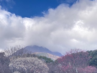 別府市　学習塾RainBow　塾長散歩　目指せ！7000km！　1043日目結果！　南立石公園　【別府　塾　個別指導　高校入試　大学入試】