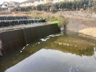 別府市　学習塾RainBow　塾長散歩　目指せ！7000km！　1044日目結果！　境川　【別府　塾　個別指導　高校入試　大学入試　自習室完備　新規生募集中】