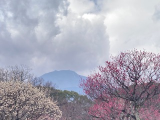 別府市　学習塾RainBow　塾長散歩　目指せ！7000km！　1045日目結果！　南立石公園　【別府　塾　個別指導　高校入試　大学入試　春期講座　新規生募集中】