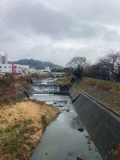 別府市　学習塾RainBow　塾長散歩　目指せ！7000km！　1049日目結果！　雨の春木川　【別府　塾　個別指導　高校入試　大学入試】