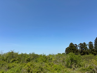 別府市　学習塾RainBow　塾長散歩　目指せ！7000km！　1110日目結果！　5.4　じいちゃんち　【別府　塾　個別指導　高校入試　大学入試　新規生募集中】
