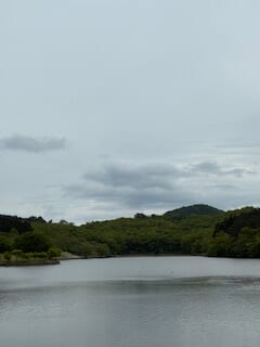 別府市　学習塾RainBow　塾長散歩　目指せ！7000km！　1117日目結果！　5.11　志高湖　【別府　塾　個別指導　高校入試　大学入試　新規生募集中】