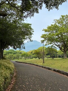 別府市　学習塾RainBow　塾長散歩　目指せ！7000km！　1121日目結果！　南立石公園　【別府　塾　個別指導　高校入試　大学入試　新規生募集中】