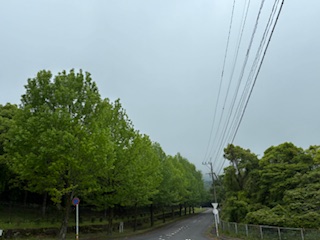 別府市　学習塾RainBow　塾長散歩　目指せ！7000km！　1122日目結果！　自宅周辺　【別府　塾　個別指導　高校入試　大学入試　新規生募集中】