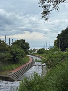別府市　学習塾RainBow　塾長散歩　目指せ！7000km！　1123日目結果！　塾周辺　【別府　塾　個別指導　高校入試　大学入試　新規生募集中】