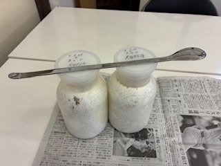 別府市　学習塾RainBow　飼育室　オオクワガタ幼虫どうなった？　【別府　塾　個別指導　高校入試　大学入試　新規生募集中】
