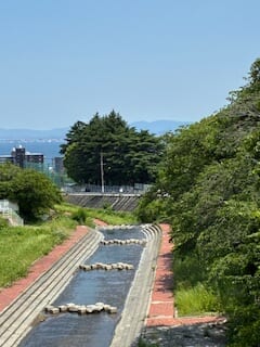 別府市　学習塾RainBow　塾長散歩　目指せ！7000km！　1137日目結果！　塾周辺　【別府　塾　個別指導　高校入試　大学入試　新規生募集中】