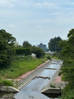 別府市　学習塾RainBow　塾長散歩　目指せ！7000km！　1158日目結果！　いたちがわ　【別府　塾　個別指導　高校入試　大学入試　新規生募集中】