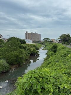 別府市　学習塾RainBow　塾長散歩　目指せ！7000km！　1161日目結果！　小雨の春木川　【別府　塾　個別指導　高校入試　大学入試　新規生募集中】
