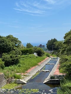 別府市　学習塾RainBow　塾長散歩　目指せ！7000km！　1174日目結果！　塾周辺　【別府　塾　個別指導　高校入試　大学入試　新規生募集中】