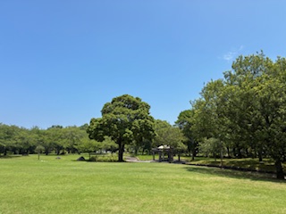 別府市　学習塾RainBow　塾長散歩　目指せ！7000km！　1177日目結果！　南立石公園　【別府　塾　個別指導　高校入試　大学入試　新規生募集中】