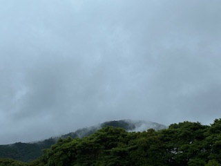 別府市　学習塾RainBow　塾長散歩　目指せ！7000km！　1180日目結果！　7.13　自宅付近　【別府　塾　個別指導　高校入試　大学入試　新規生募集中】