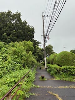 別府市　学習塾RainBow　塾長散歩　目指せ！7000km！　1193日目結果！　自宅周辺　【別府　塾　個別指導　高校入試　大学入試　新規生募集中】