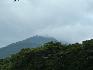 別府市　学習塾RainBow　塾長散歩　目指せ！7000km！　1202日目結果！　自宅周辺＆境川　【別府　塾　個別指導　高校入試　大学入試　新規生募集中】