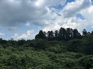 別府市　学習塾RainBow　塾長ウォーキング10000km！　1215日目結果！　8.17　じいちゃんち　【別府　塾　個別指導　高校入試　大学入試　新規生募集中】