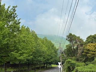 別府市　学習塾RainBow　塾長ウォーキング10000km！　1217日目結果！　自宅周辺＆境川　【別府　塾　個別指導　高校入試　大学入試　新規生募集中】