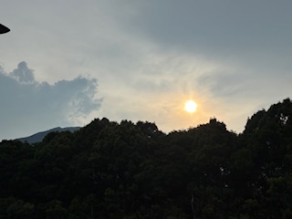 別府市　学習塾RainBow　塾長ウォーキング10000km！　1229日目結果！　8.31　夕方の自宅付近　【別府　塾　個別指導　高校入試　大学入試　新規生募集中】