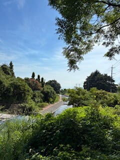 別府市　学習塾RainBow　塾長ウォーキング10000km！　1232日目結果！　塾周辺　【別府　塾　個別指導　高校入試　大学入試　新規生募集中】