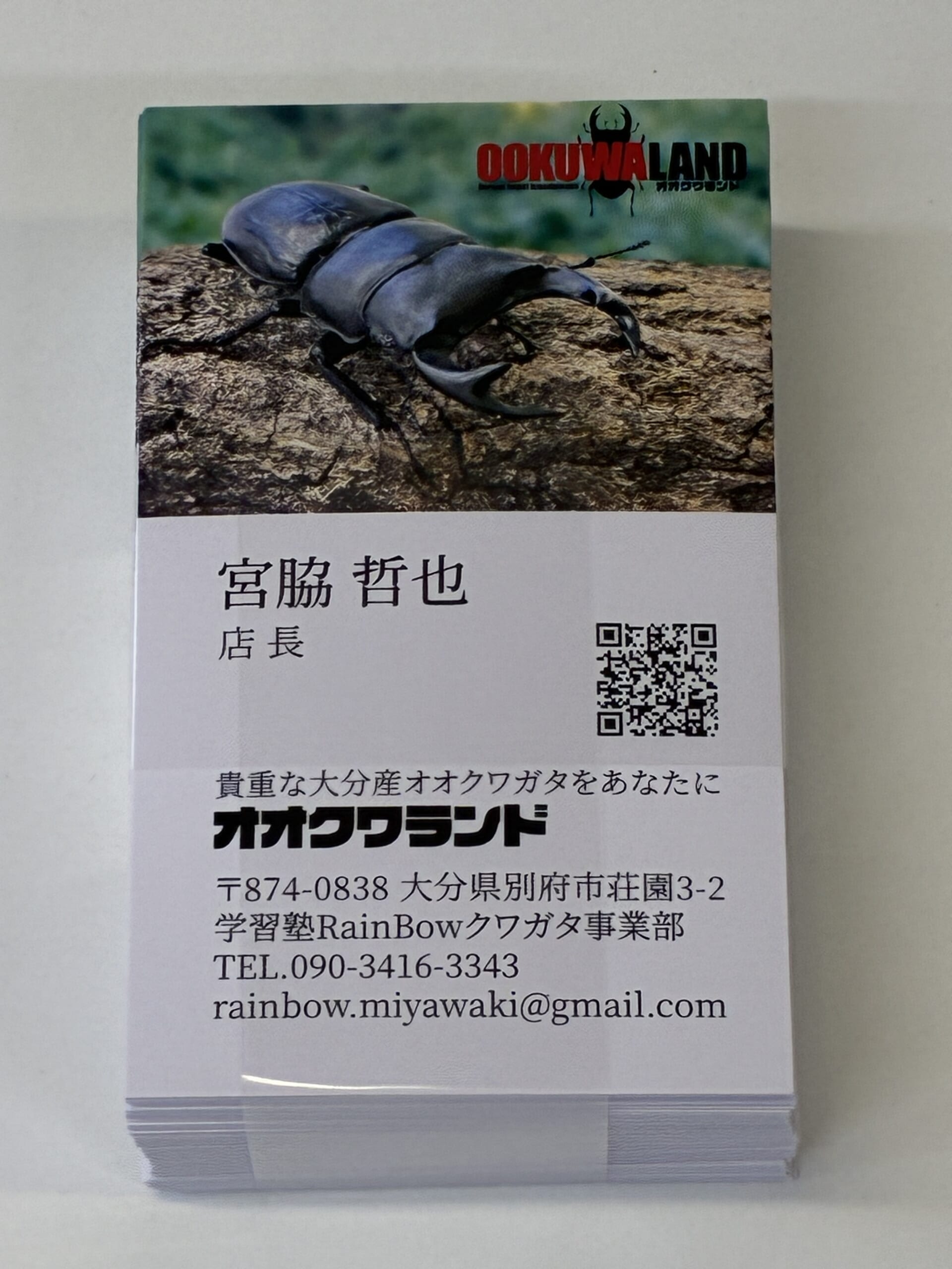 別府市　学習塾RainBow　クワガタ事業部　オオクワランド　封筒＆名刺　【別府　塾　クワガタ　オオクワガタ　クワガタ飼育　クワガタ販売】