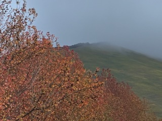 別府市　学習塾RainBow　塾長ウォーキング10000km！　1299日目結果！　11.9　夕方の自宅周辺　【別府　塾　個別指導　高校入試　大学入試　新規生募集中】